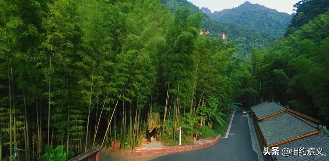 赤水大瀑布 侏罗纪公园 (世界唯一保留的侏罗纪原始公园)