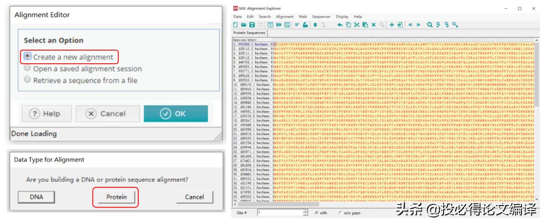 生物信息学软件下载,生物学软件