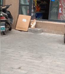 年轻人压力大失眠吃什么药,年轻人压力大失眠怎么解决