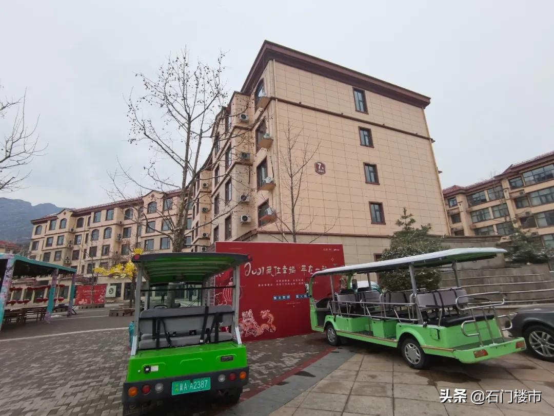 实探现场,实探日本果园