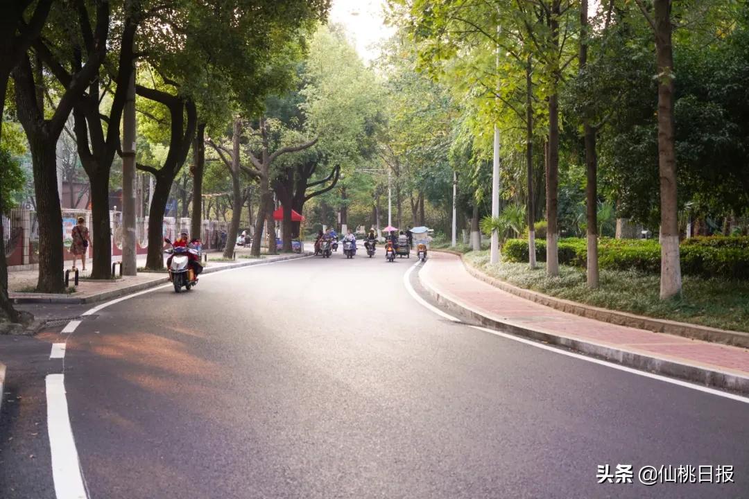 大美仙桃，未来可期