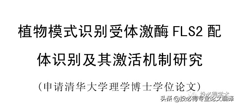 一文解决中英参考文献混排问题,一文搞定英语写作技巧