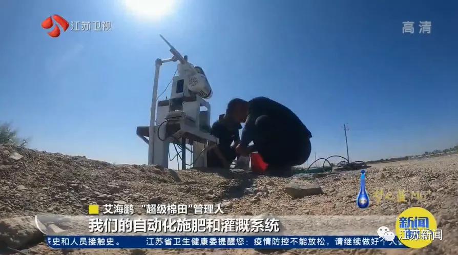 3000亩棉田,棉田种植