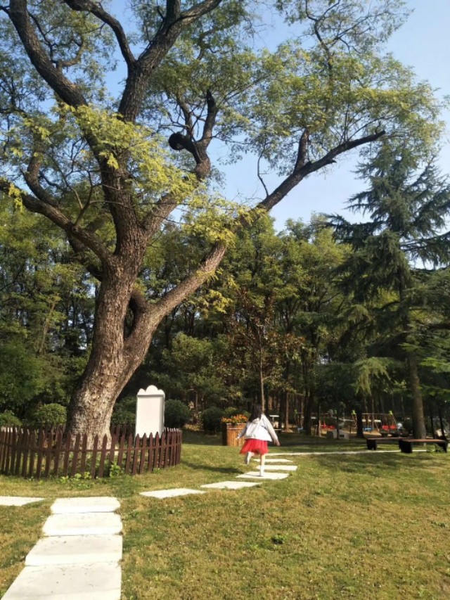 閭冲窞鑹惧北鏅尯,閭冲窞鑹惧北鍦伴渿