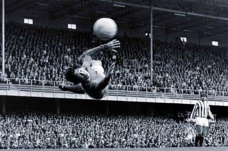 各足球球星招牌动作,足球球星们的招牌技能