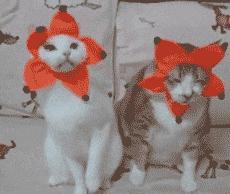 不联系的同学借钱怎么高情商回复,怎么回复借钱的同学