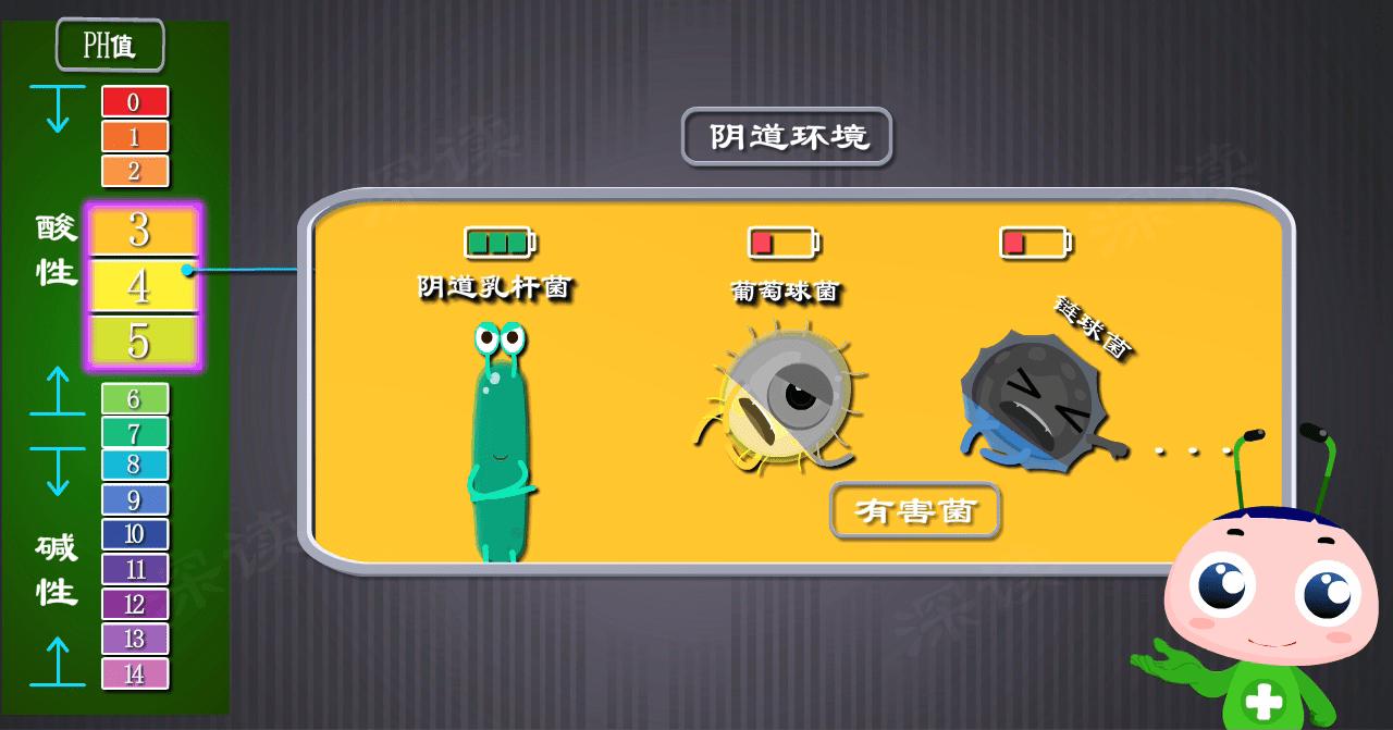 附件炎怎么造成的,人流后附件炎