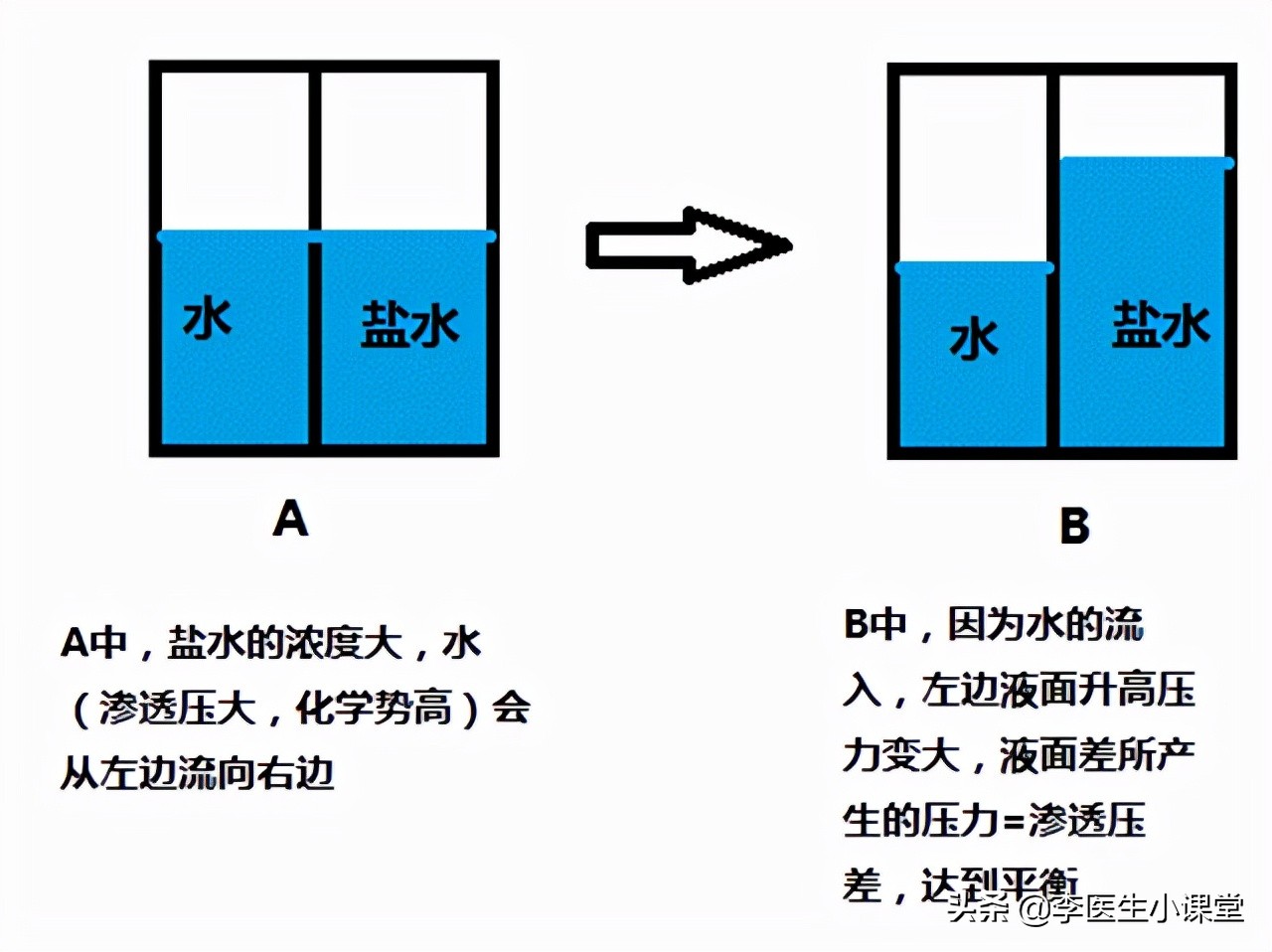 肾功能受损有什么表现,尿有泡沫是肾功能受损吗