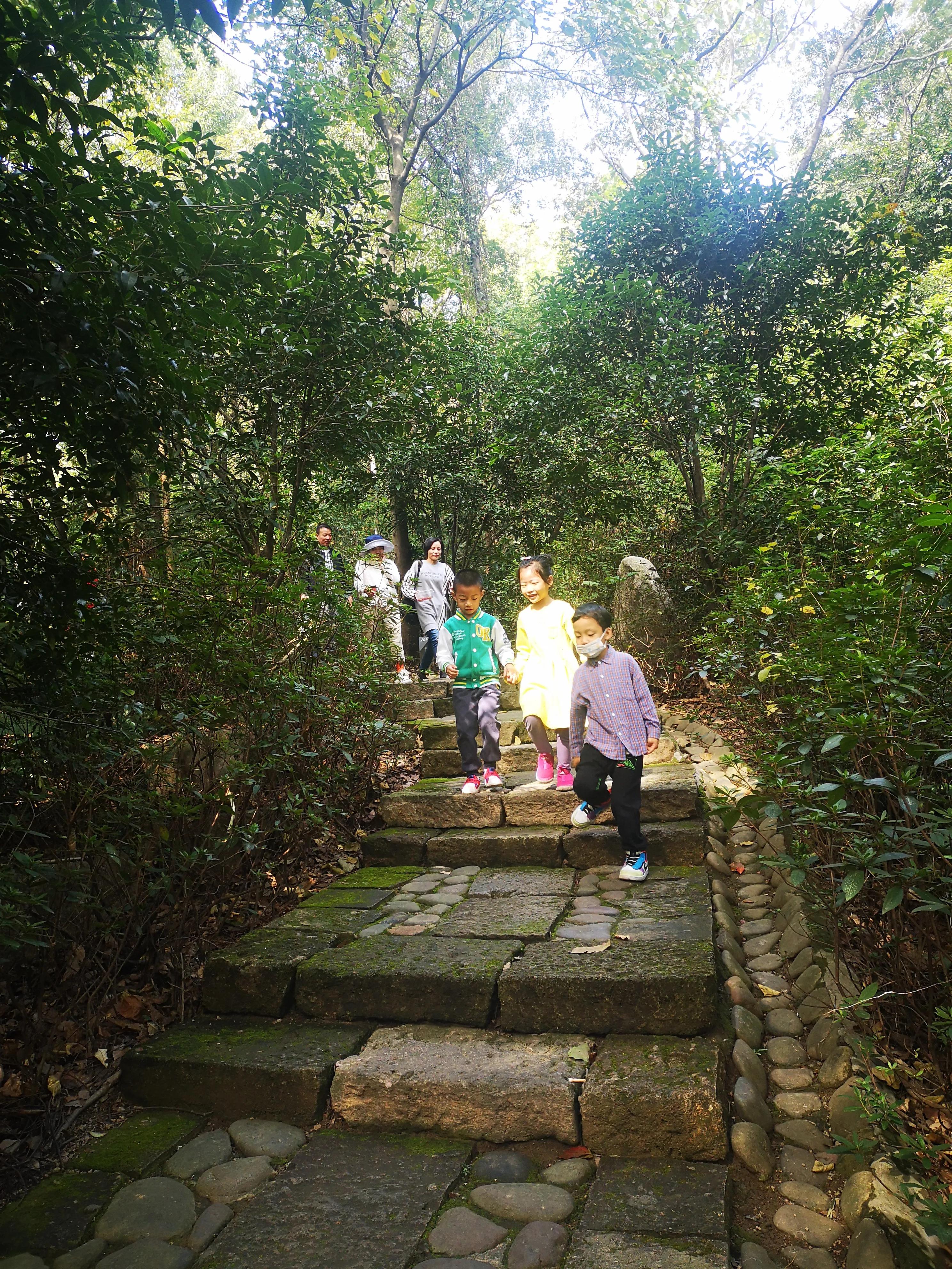 皋亭山爬山活动,皋亭山爬山入口在哪里