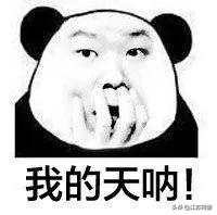 钱女士事件警方怎么处理,钱女士娄教练被打了吗