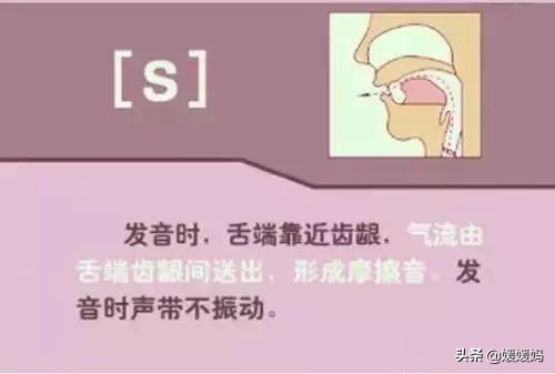 音标教学视频48个快速记忆法,英语48个音标发音教程视频