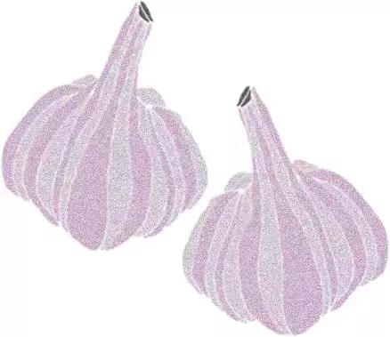 烹饪菜肴用的香辛料,料理必备调味料