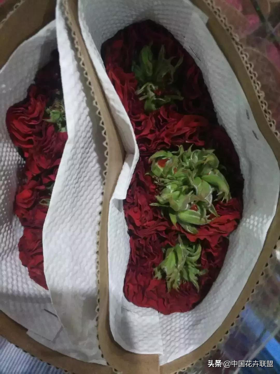 春天花市有哪些花材,便宜又大把的花材有哪些