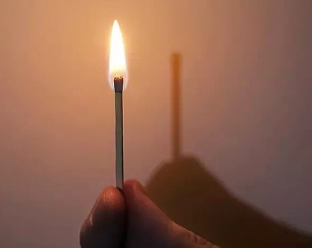 用显微镜看一下蚂蚁有多可怕,显微镜下蚂蚁的真实面目图片