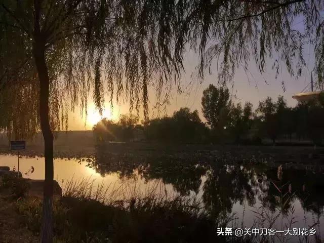 课文初冬的早晨,初冬的早晨问候