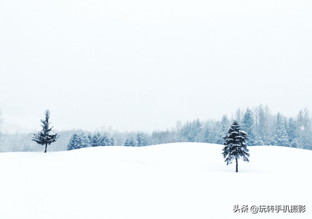 朋友圈赞爆的美照,雪景美爆朋友圈