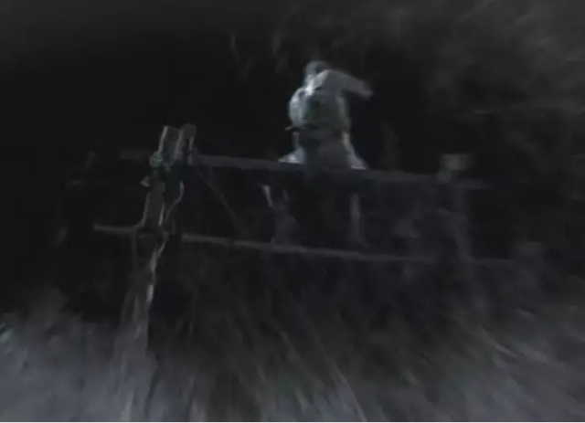 有枪就不怕狮子吗？不是！看帕特森中校在非洲经历了什么