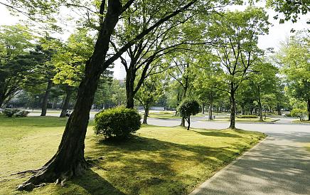 自然资源局整治典型案例,自然资源部违法案件查处工作