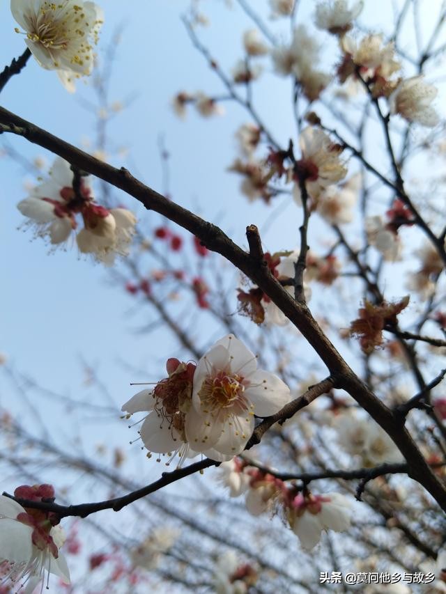 雅马哈巧格300公里首保,雅马哈巧格3万公里后综合油耗