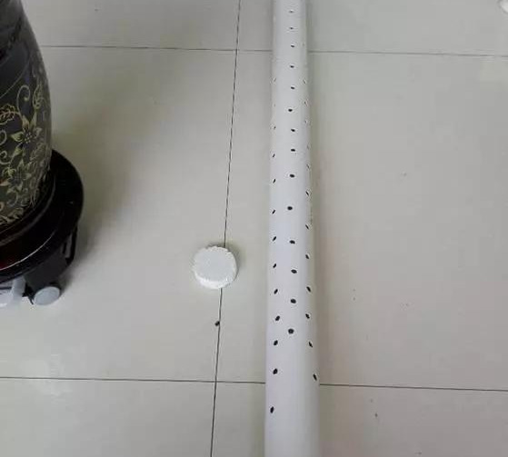 绿萝怎么造型更好看,大绿萝怎么做造型好看