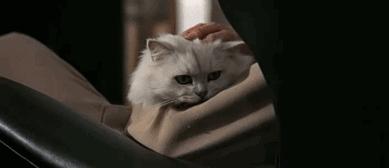 璐㈠姟骞村害鎶ュ憡鎵庡績,璋冧緝璐㈠姟鑷敱鍗佷釜鏍囧噯