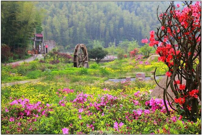 一年级下册语文描写春天四字词语,一年级描写春天的词语有哪些大全