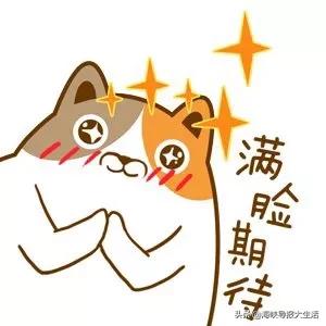 外地户口能买口罩？中签能代领吗？如何能高概率预约上？你关心的问题都在这