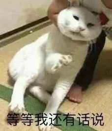 怎样避免左手按弦不碰其他弦,左手按弦技巧手指分不开