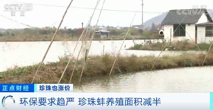 珍珠价格连续三年上涨视频,珍珠价格上涨的原因视频