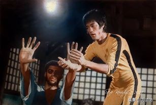 为道塾·截拳之道|如水适应：肢体表达的艺术之李小龙截拳道