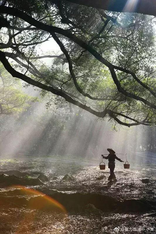 这么一片五彩滩涂奇幻仙境，超惊艳！在福建，厦门动车可以直达