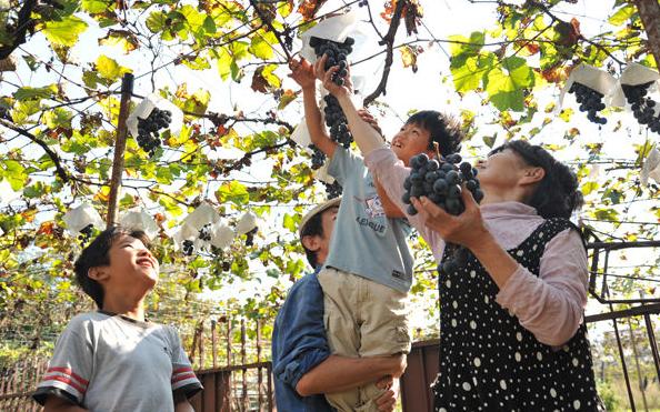 日本有哪些地方特产？好吃不踩雷