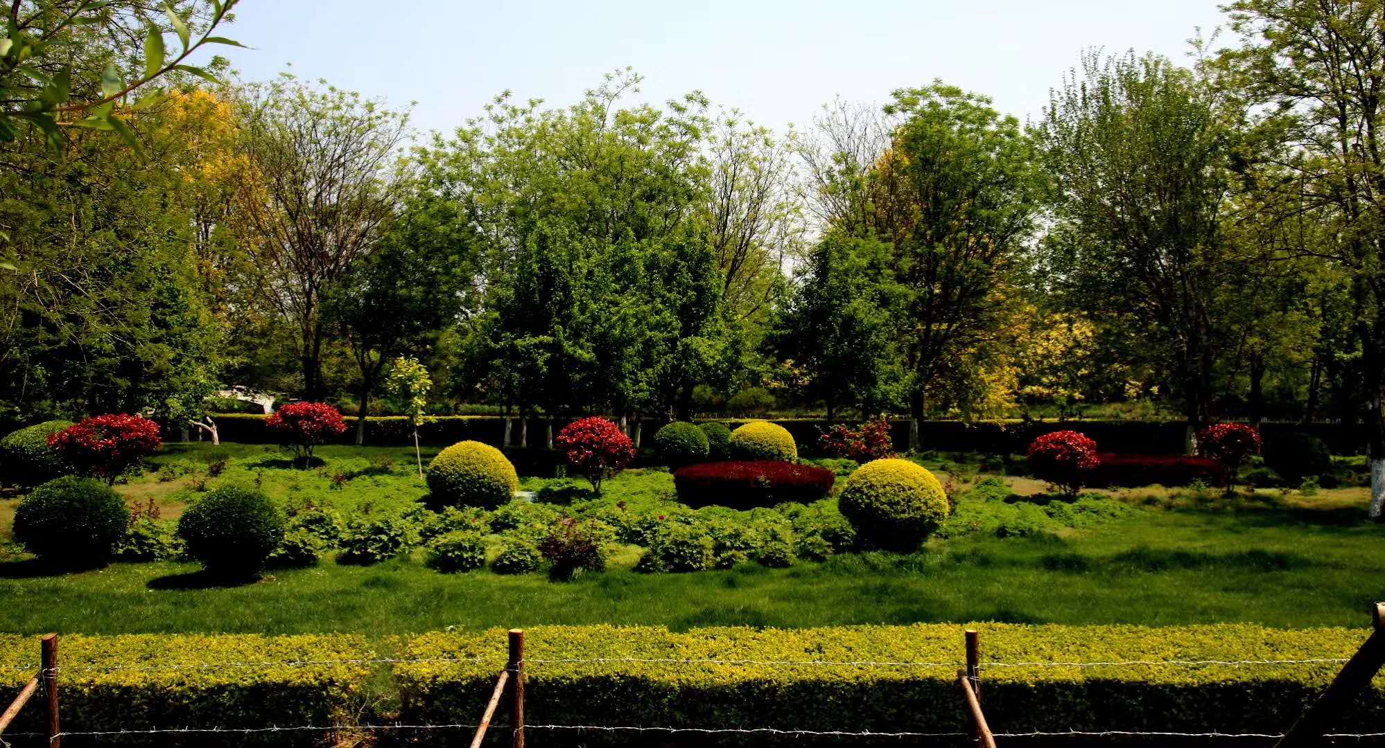 常见的投资理财产品及特点,笔记整理10个技巧