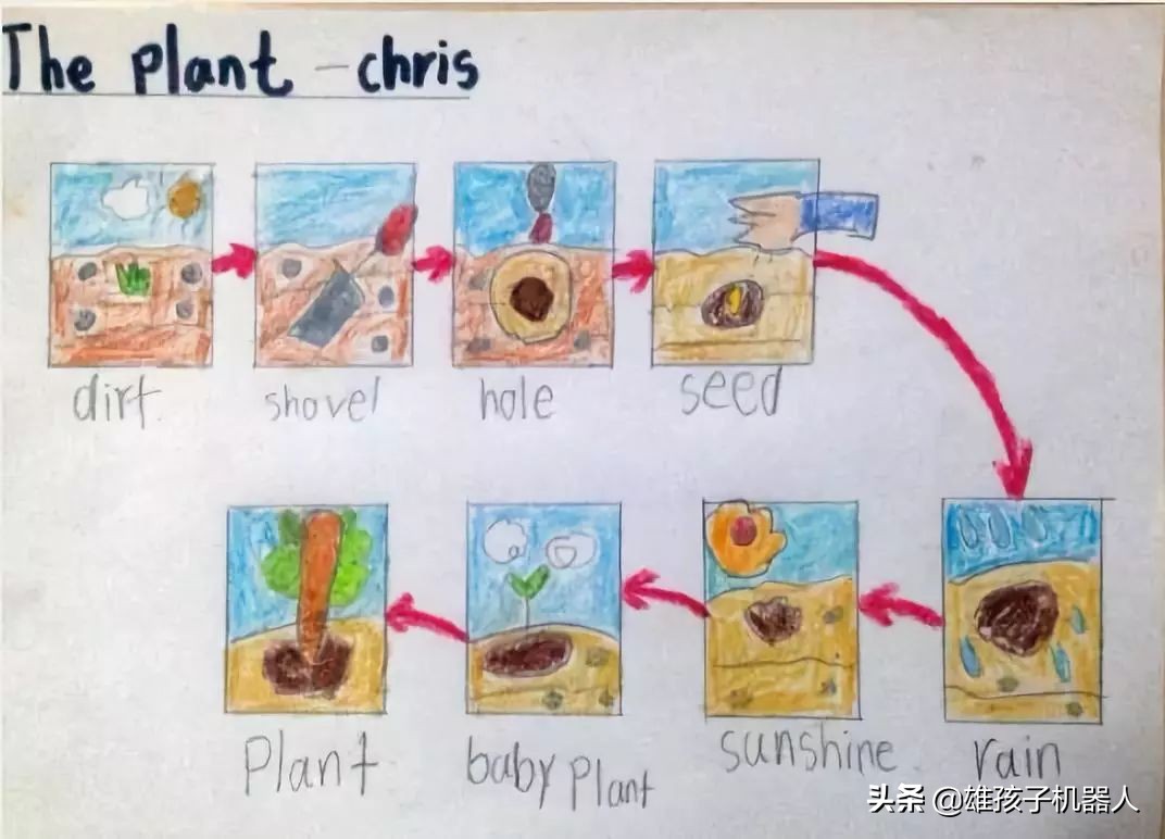 干货！美国幼儿园就使用的思维导图：让孩子学会自主学习和规划