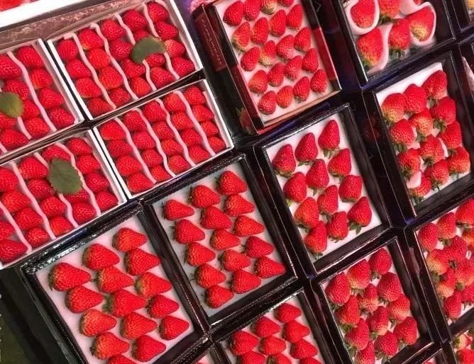 深圳年货批发市场进货渠道,深圳宝安区年货批发市场