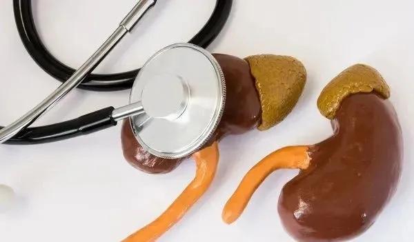 透析对肾脏衰竭的人有好处吗,心脏衰竭肾脏衰竭透析能活多久