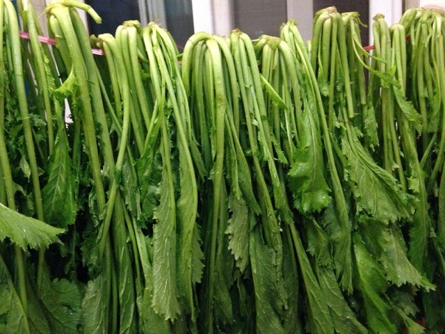 跟妈妈一起腌酱菜,跟妈妈学的老式腌菜