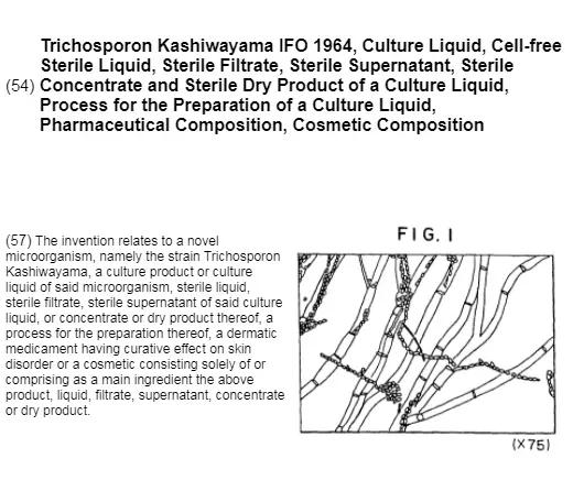 sk2神仙水智商税雅诗兰黛小棕瓶,神仙水sk2是不是智商税