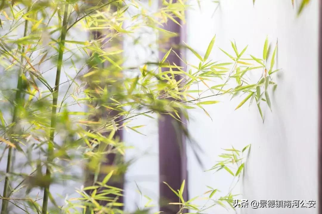 词中之龙辛弃疾10首经典词句欣赏,辛弃疾最有名的10首诗词