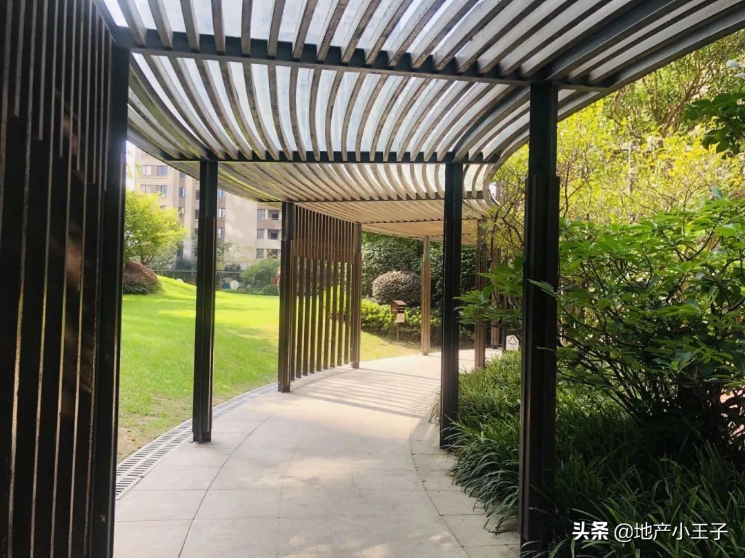 奥特三兄弟最新进展,奥体新三兄弟哪个好