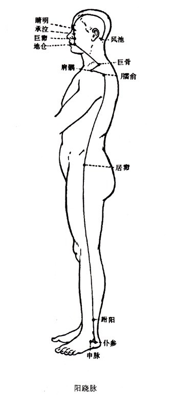 奇经八脉是哪八脉有什么作用,三焦经治疗肩周炎穴位
