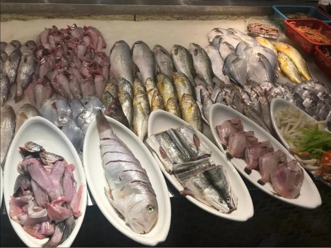 有了这座小县城，封海也封不住浙江人吃海鲜的嘴