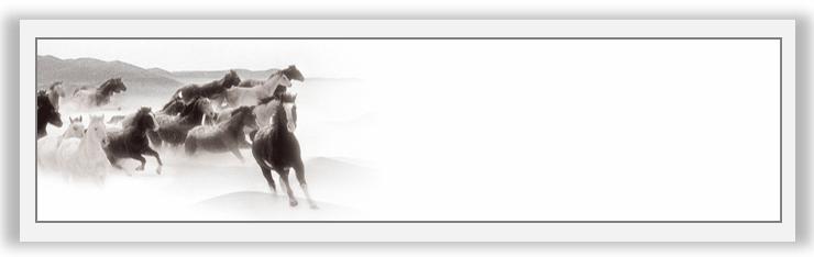 用打印机扫描身份证做成ppt,文档打印身份证图片效果