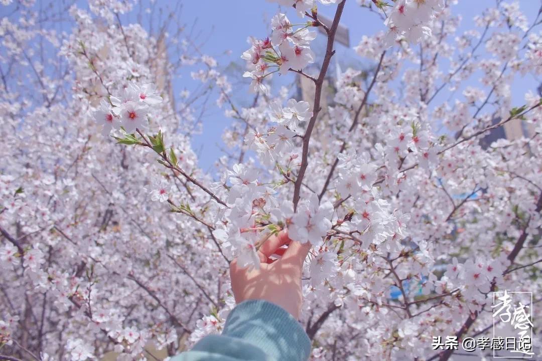孝感出发旅游攻略路线,湖北孝感的旅游攻略