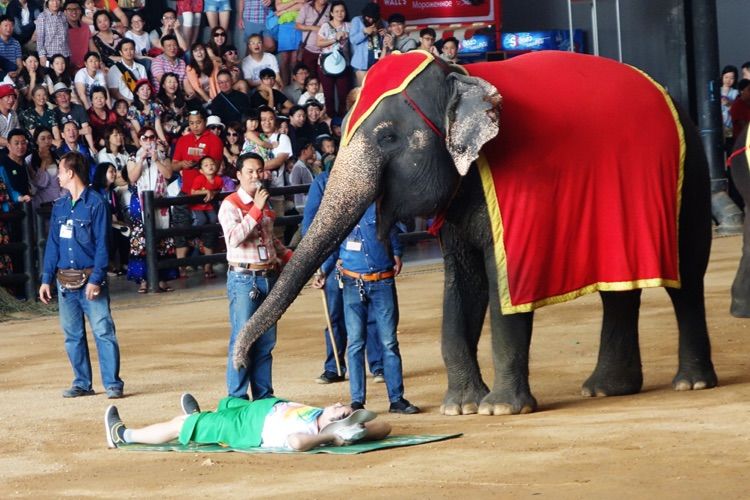 泰国十大私人园林,泰国游之旅