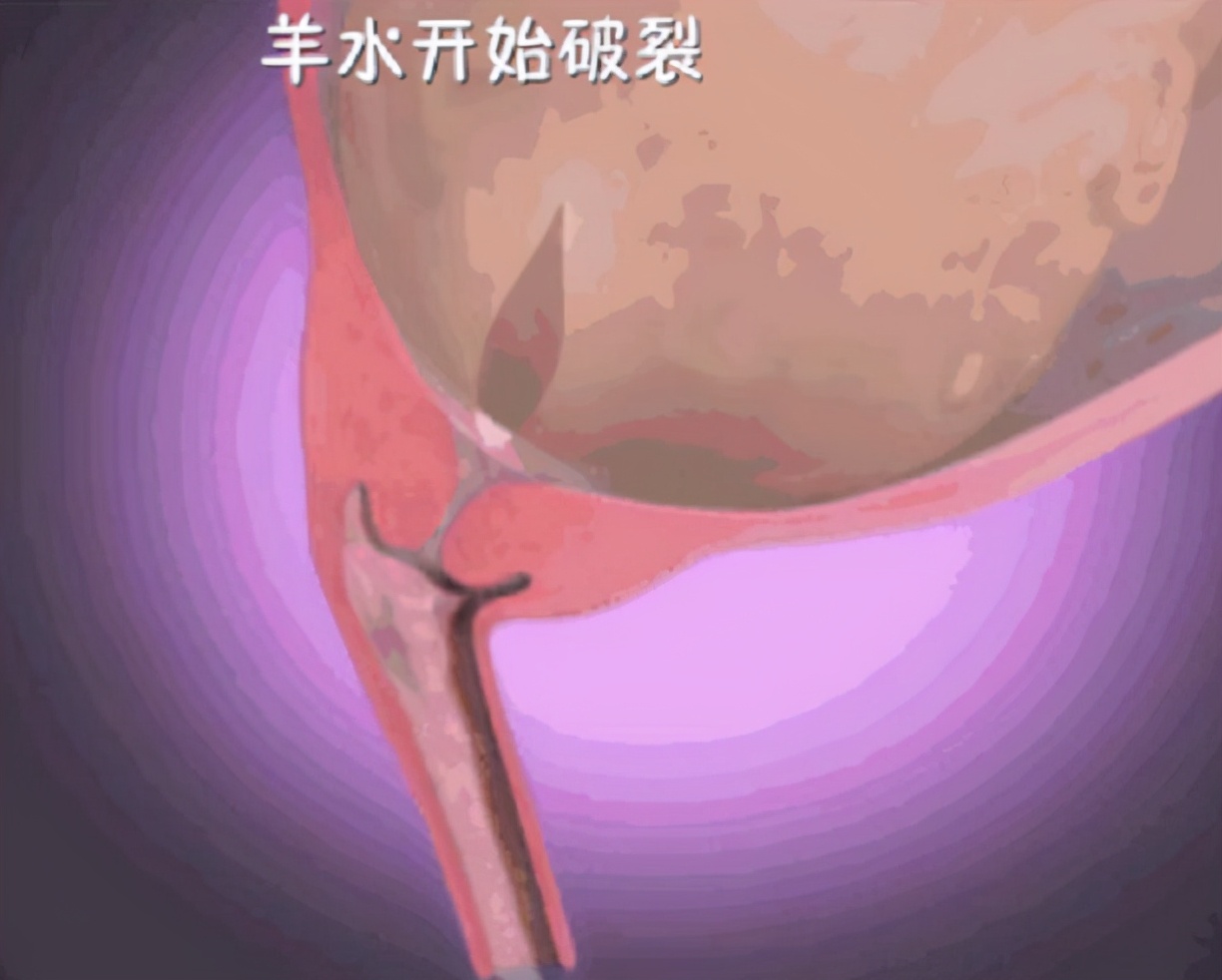 小宝宝最快的出生方法是什么,宝宝出生30天成长过程