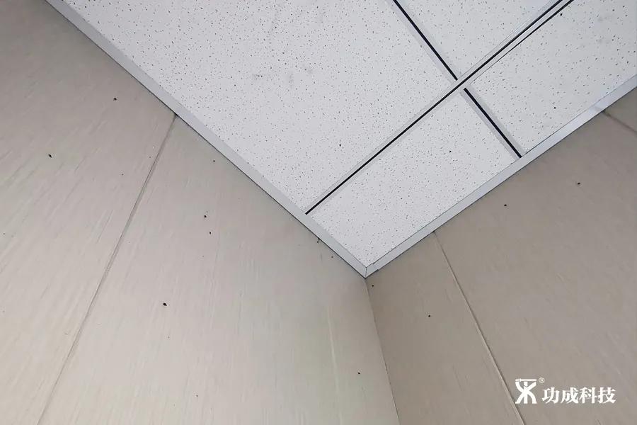 卫生间小虫子蛾蠓怎么来的,卫生间有小虫蛾蚋怎么治