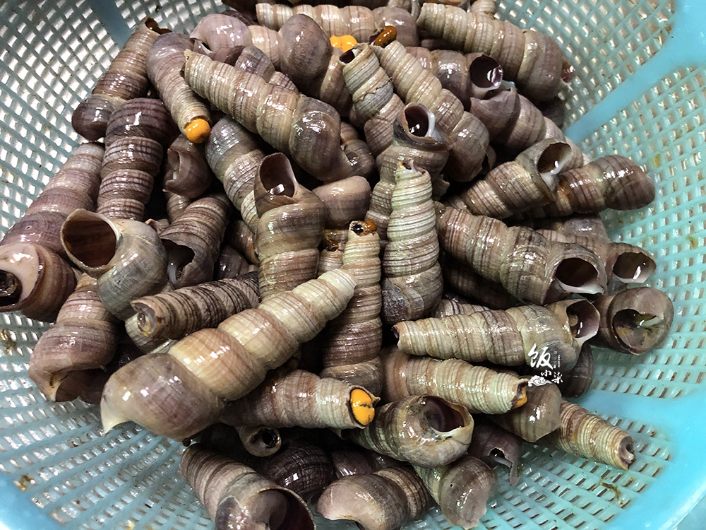 田螺好吃到爆,比田螺好吃的海鲜