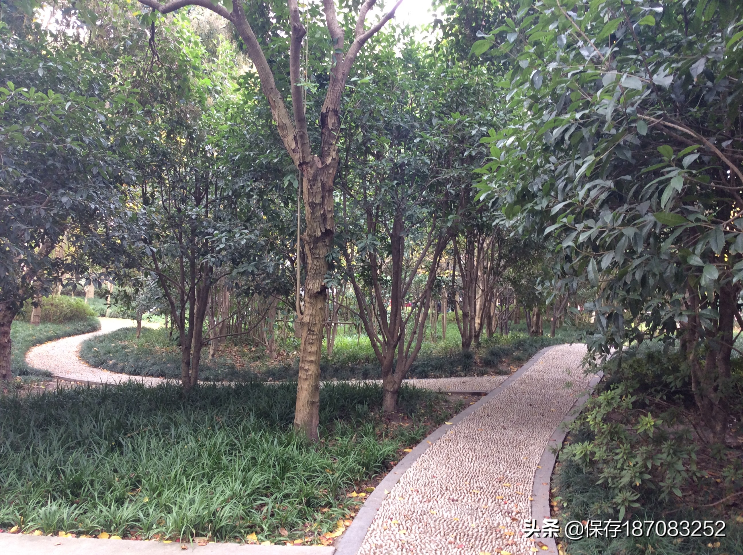 上海徐汇区公园名单,上海梦核公园