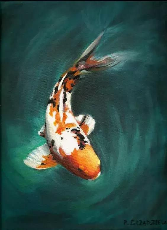 转运锦鲤简笔画,简笔画100种锦鲤图片